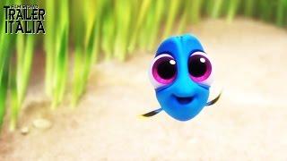 ALLA RICERCA DI DORY | Conosci la piccola Dory