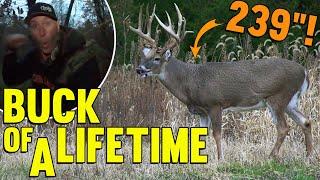 Unbelievable Buck of a LIFETIME! 239" BEHEMOTH!