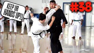 What I Learned from 43 Martial Arts