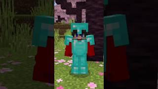 Can I Get FULL DIAMOND ARMOUR In Just 30 MINUTES  #minecraft