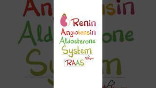 Renin Angiotensin Aldosterone System (RAAS) #anatomy #physiology #biology #nurse #doctor  #mbbs