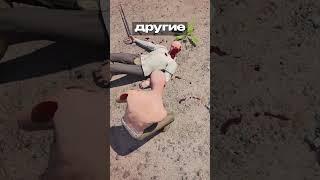 Как победить чемпиона в Half Sword ️ #HalfSword #Тактика #Фехтование #Shorts
