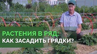 Высадка растений на грядки | Технология изобилия