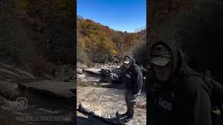 Explore Graveyard Fields Loop & Waterfalls on Blue Ridge Parkway #wnc