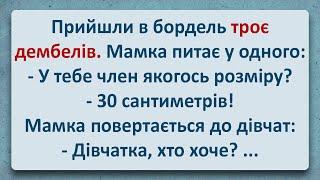  Троє Дембелів у Борделі! Українські Анекдоти та Українською! Епізод #362