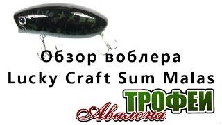 Обзор воблера Lucky Craft Sum Malas - магазин "Трофеи Авалона"