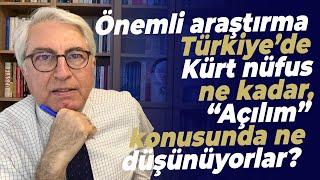 Önemli araştırma: Türkiye’de Kürt nüfus ne kadar, “Açılım” konusunda ne düşünüyorlar?