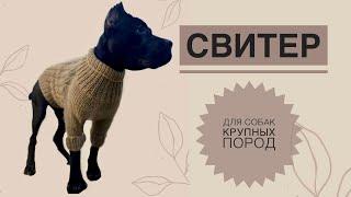 Свитер для собак крупных пород / Вязаный свитер для собак / Как связать свитер для собак / Вязание