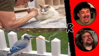 UNUSUAL MEMES COMPILATION V318 & V319 | RENEGADES REACT #memes #dankmemes