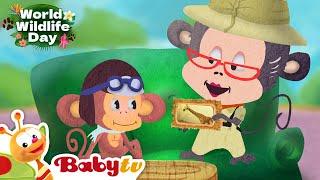 Elephant   | Animals for Kids | Wild Animals | Full Episode @BabyTV