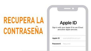 Cómo recuperar la contraseña del Apple ID