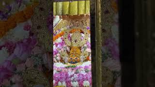 #amitsinghkhatu #khatu #baba Shyam #shyambhajan #trends #khatushyamji #reels