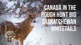 Canada in the Rough hunt for Big Saskatchewan Whitetails with Big Spruce Outfitting