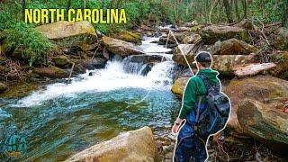 Fly Fishing the Appalachians for 3 Days! || Fly Fishing for Brook, Rainbow, and Brown Trout