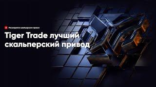 Почему TigerTrade лучший терминал для профессионального скальпинг. Фишки привода