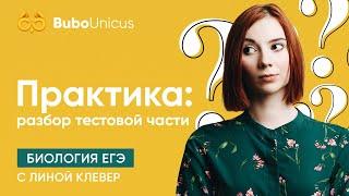 Практика. разбор тестовой части. Часть 2 | БИОЛОГИЯ ЕГЭ | Лина Клевер