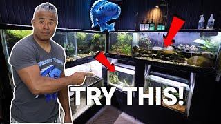 Bored with Your Aquarium Hobby? Try These Ideas!