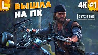 ️ Прохождение Жизнь После - Days Gone на русском [4K, PC] - Часть 1