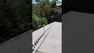 new line work ️️ #plumbing #plumbingtime #construction #subscribe