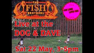 The Fish Brothers Live From The Dog & Dave