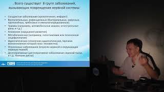 Введение в неврологию  Кошка или собака перестала ходить что делать