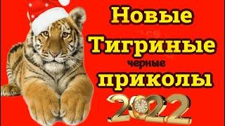 Анекдоты лучшие в год ТИГРА смешные тигриные анекдоты и приколы в новый 2022 год СМЕХ