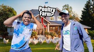 This man builds Luxury House for chickens