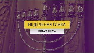 Недельная глава "Шлах Леха"