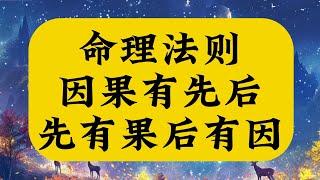 因果有先后，当下所做即是未来。