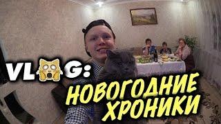 VLOG: НОВОГОДНИЕ ХРОНИКИ / Андрей Стародубцев