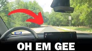 Tesla Robotaxi Encounters Wildlife For First Time