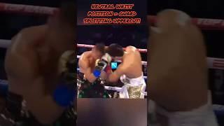 How JANIBEK ALIMKHANULY Lands His Rear Uppercut So Often! (Rare Example Of An Infighting Southpaw)