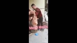Xorazm tandir kavobi Kavkazda olğa Ózbegim