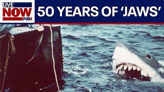'Jaws' 50th anniversary: How the iconic Steven Spielberg film has impacted film and culture