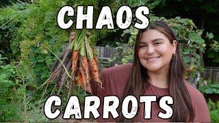 The EASIEST Way To Grow Carrots!