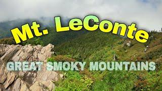 Mt. LeConte via Alum Cave Trail | Smoky Mountains Best Hike?