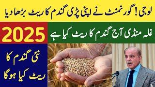 Today wheat rate 2024 2025