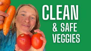 Safely Remove Toxins from Veggies: The Best DIY Vegetable Wash