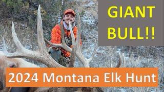 RESILIENCE || Monster Montana Bull Down