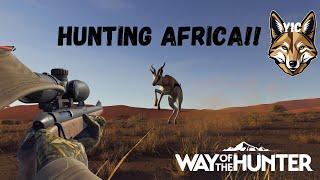 Hunting EVERYTHING! On tikamoon plains!