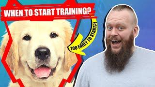 When Should I Start Training My GOLDEN RETRIEVER PUPPY?