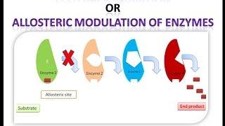 Feedback Inhibition or End Product Inhibition of Enzymes