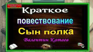 Сын полка  ,Краткое повествование, Валентин Катаев, читает Павел Беседин