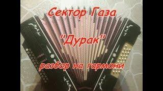 Разбор на гармони - Сектор Газа - Дурак