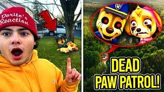 DEAD CHASE & SKYE SPOTTED FROM PAW PATROL!! (HELP THEM)