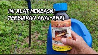 CARA MUDAH MEMBASMI ANAI-ANAI DI KEBUN