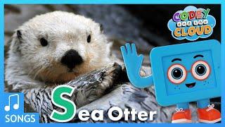 The Sea Otter Song (We Love Clams!) | S for Sea Otter  | Codey And The Cloud S1 • E5