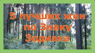 5 лучших жен по Знаку Зодиака. Лучшие жены по Знаку Зодиака