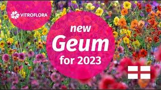 GEUM - New products for the 2023 season!