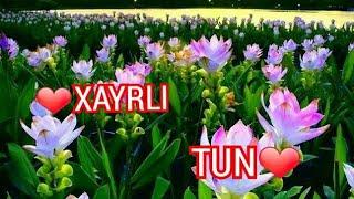 ХАЙРЛИ ТУН/XAYRLI TUN